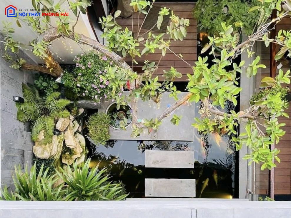 Thi công biệt thự sân vườn Long An