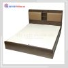 Giường 1M6 Ốp Nệm Kiểu Cong Độc Đáo